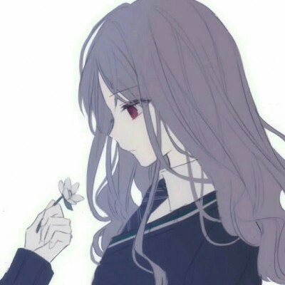 白鹭
